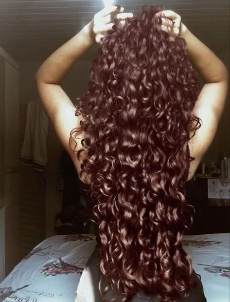 Silky Curly Hair, Long Natural Curls, 3a Hair, Long Natural Curly Hair, Mixed Curly Hair, Hair Curling Tips, Curly Hair Photos, Luscious Hair, Healthy Hair Tips