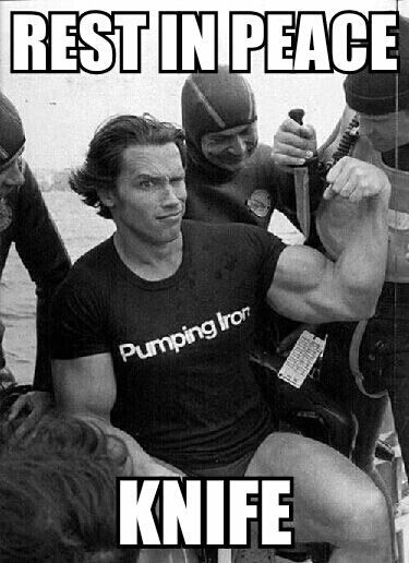 RIP Arnold Bodybuilding, Arnold Schwarzenegger Bodybuilding, Schwarzenegger Bodybuilding, Patrick Schwarzenegger, Bodybuilding Pictures, Maria Shriver, Pumping Iron, Gym Memes, Body Builder