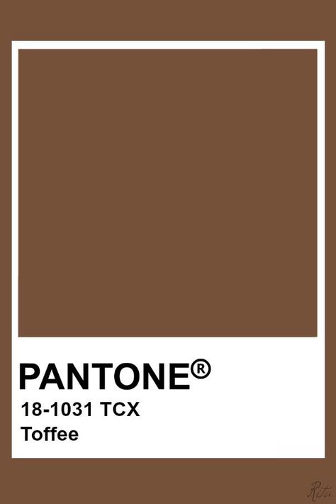 Brown Pantone, Toffee Color, Pantone Tcx, Pantone Color Chart, Pantone Swatches, Pantone Palette, Pantone Colour Palettes, Soft Summer, Colour Board