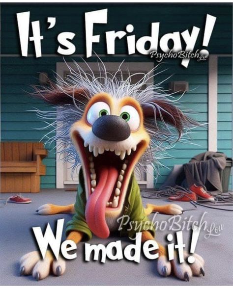 It Friday Funny Humor, Good Morning Friday Funny Hilarious, It’s Friday Funny, Good Morning Friday Funny, Its Friday Humor, Happy Friday Funny Humor, Chicken Wisdom, Verknipte Humor, Happy Friday Pictures