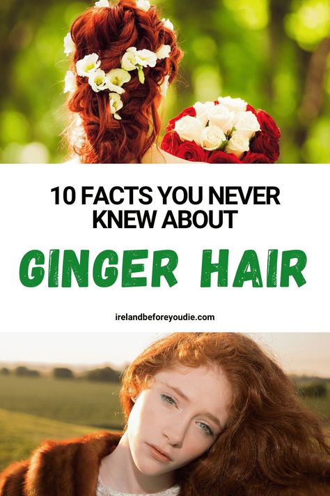 Ginger hair is a stereotypical trait of Irish people, but here are the top ten facts about ginger hair that you never knew. #GingerHair #RedHair #GingerHairfacts Best Clothing Colors For Gingers, Ginger Hair Natural Redhead, Ginger Hair Styles Natural Redhead, Facts About Gingers, Types Of Ginger Hair, Hairstyles For Gingers, Ginger Hair With Black Highlights, Ginger Beer Hair Color, Hairstyles For Ginger Hair