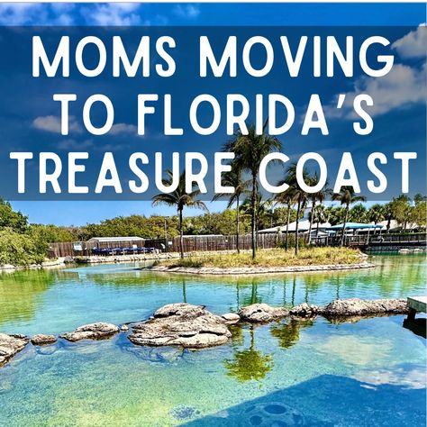 Palm trees, ocean, florida, kid-friendly activities. Treasure Coast Treasure Island Florida Things To Do In, Moving To Florida Quotes, Move To Florida, Vacation In Florida, Nokomis Beach Florida, Things To Do In Florida, John’s Pass Florida, Treasure Coast, Florida Adventures