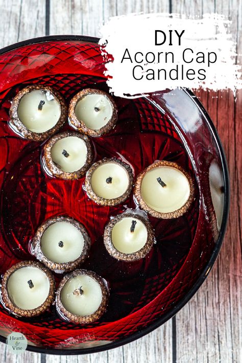 Learn how to make beeswax acorn cap candles and bring a bit of nature's beauty into your home decor Acorn Floating Candles, Floating Acorn Candles, Acorn Cap Candles, Acorn Crafts Diy, Acorn Cap Crafts, Acorn Top Crafts, Beeswax Gifts, Acorn Crafts For Adults, Nature Crafts For Adults Diy