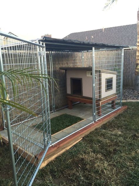 (ad) Any ideas for a chain link dog kennel? Outdoor Dog Kennel Ideas, Dog Kennel Ideas, Outdoor Dog Area, Backyard Dog Area, Dog Enclosures, Kennel Ideas Outdoor, Dog Kennel Outside, Dog Backyard, Outdoor Dog Kennel