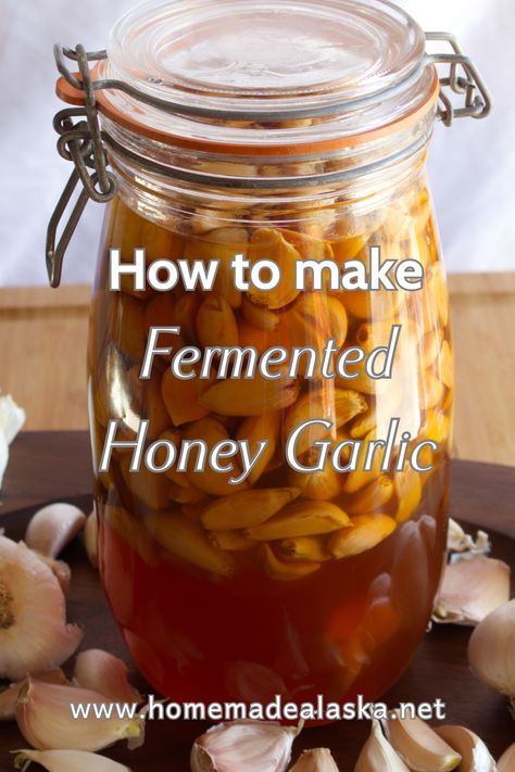 Fermented Honey Garlic is a blend of raw honey and garlic ferments into a sweet, tangy, and probiotic-rich elixir perfect for enhancing dishes and boosting wellness. Honey Garlic Cloves, Garlic Cloves In Honey, Garlic In Honey Jar Benefits, Garlic Syrup Medicine, Garlic Soaked In Honey, Garlic In Honey Jar, Garlic Onion Honey Medicine, Fermented Garlic Honey Benefits, Honey And Garlic Remedy