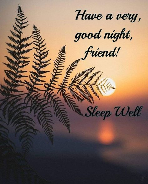 Goodnight My Friend, Good Night Meme, Good Night Love You, Goodnight Images, Evening Blessings, Good Night Family, Good Night Qoutes, Good Night My Friend, Goodnight Wishes