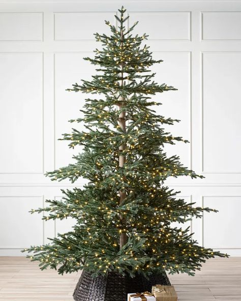 4 Foot Prelit Christmas Tree, 5 Ft Christmas Trees, Nobel Fir Christmas Tree, Christmas Tree Farm Theme Decor, Most Realistic Artificial Christmas Tree, Christmas Tree With Fairy Lights, Best Faux Christmas Tree, Fairy Lights Christmas Tree, Yule Christmas Tree