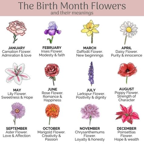 Wall Decals & Kids Art on Instagram: “What birth month flower would your children have? ❤️ Mine is the Lily. These are the options available for my Mother of Life Posters 🌸 All…” Flower Symbolism Meaning, Symbolic Flowers, Flower Symbolism, Small Wave Tattoo, Larkspur Flower, Flower Language, Aster Flower, Flower Guide, Flower Meanings