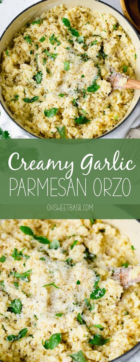 Garlic Parmesan Orzo, Orzo Recipes Side, Orzo Pasta Recipes, Parmesan Orzo, Pasta Side Dishes, Rice Side, Orzo Recipes, Pasta Sides, Pasta Dinner Recipes