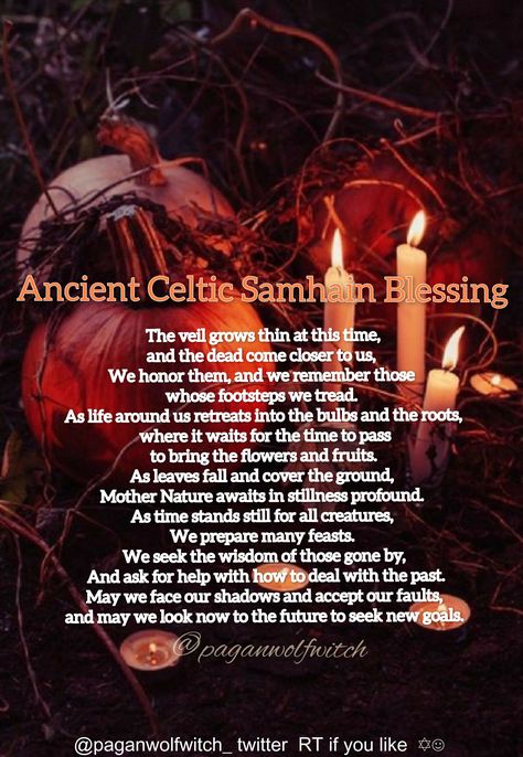 Ancient Celtic Samhain Blessing Samhain Aesthetic Pagan, Natural Samhain Decor, Blessed Samhain Quotes, Samhain Activities For Kids, Samhain Intentions, Samhain Decorations Outdoor, Herbs For Samhain, Happy Samhain Pictures, What Is Samhain