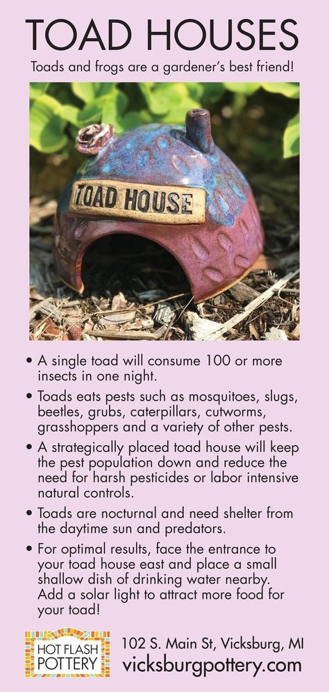 Toad House, The Pest, Unique Pottery, Hand Built Pottery, Ceramic Studio, Veggie Garden, Back To Nature, Pesticides, Lawn And Garden