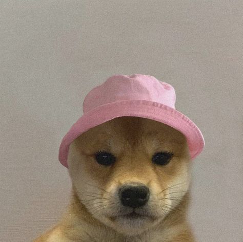 Dog With Eyelashes, Ruby Falls, Twin Sisters, Eyelashes, Bucket Hat, Twins, Ruby, Best Friends, Hats