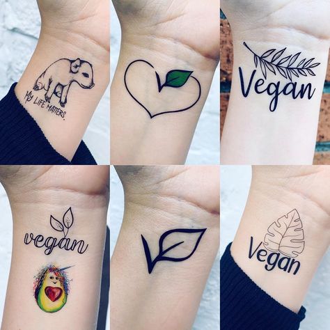 So many tattoos so little time  Herbivore temporary tattoo set available on our website now.  #temporarytattoo... Herbivore Tattoo, Vegetarian Tattoo, Vegan Tattoos, Tattoo Diy, Vegan Tattoo, Clear Plastic Sheets, Vegan Design, Real Tattoo, Vegan Gifts