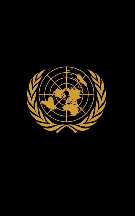 Diplomacy Wallpaper, International Diplomat Aesthetic, United Nations Wallpaper, Geopolitics Aesthetic, International Relations Wallpaper, International Business Aesthetic, Diplomatic Career, Diplomatic Aesthetic, United Nations Aesthetic