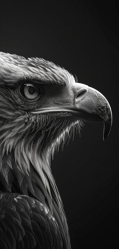 Eagle Eagle Aesthetic Wallpaper, Black Eagle Wallpaper, Eagle Aesthetic, Eagle Black And White, Eagle Face, Eagle Wallpaper, Black Eagle, Face Aesthetic, High Contrast