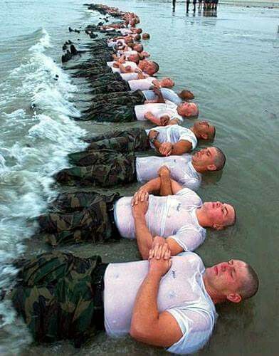 Navy Seal Training, Seal Training, Us Navy Seals, Special Ops, Navy Seal, United States Military, Us Marines, Us Soldiers, Military Heroes