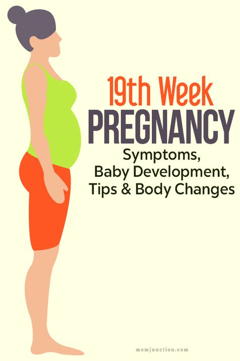 19th Week #Pregnancy: Symptoms, Baby #Development, Tips And Body Changes: Congratulatons ! You're 19 weeks pregnant now you're halfway there! Many critical changes take place within both systems. Learn what's happening at week 19. #prengnancy #pregnancycare 19 Weeks Pregnant Belly, Pregnancy Symptoms By Week, Twin Pregnancy Belly, 19 Weeks Pregnant, Baby Development Activities, Weeks Of Pregnancy, Pregnancy Facts, Pregnancy First Trimester, Early Pregnancy Signs