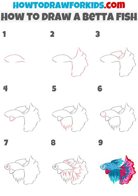 Betta Fish Fashion Design, How To Draw A Beta Fish Step By Step, How To Draw A Betta Fish, Beta Fish Drawing Step By Step, Beta Fish Painting Acrylic Easy, Betta Fish Drawing Easy, How To Draw A Fish, Insect Doodles, Betta Fish Drawing