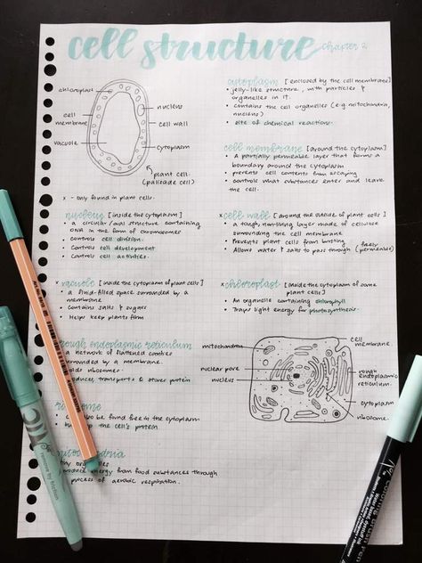 Aesthetic notes and handwriting Biology Notes Aesthetic Plant Cell, Cells Aesthetic Notes, Cell Study Notes, Cells Notes Aesthetic, Animal Cell Notes Aesthetic, Cell Aesthetic Notes, Plant Biology Notes, Human Biology Aesthetic Notes, Notes Making Ideas Biology