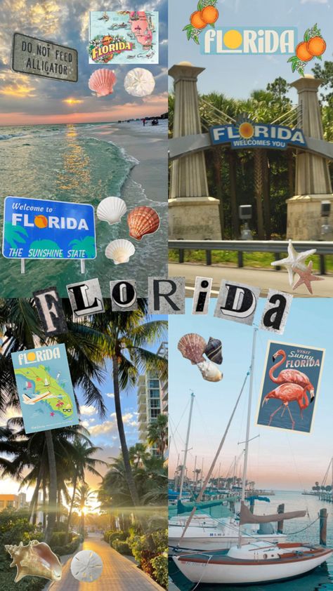 florida aesthetic collage #florida #miami #beach #uflorida #uf #fsu #universityofflorida #floridastateuniversity #collage #aesthetic #wallpaper Collage Aesthetic Wallpaper, Florida Miami Beach, Miami Wallpaper, Florida Aesthetic, Florida State University, Passion Project, University Of Florida, Sunshine State, Florida Travel