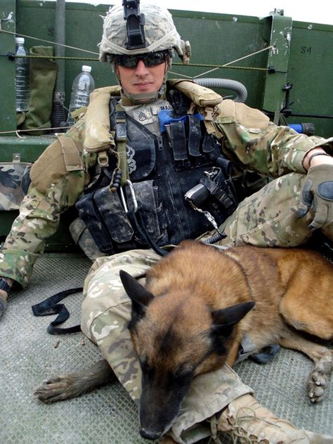 Military Service Dogs, Army Dogs, Dog Hero, Military Working Dogs, Military Dogs, Color Lab, Dog Help, Police Dogs, Belgian Malinois