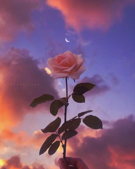 🌙 Izzah Camelia ☁️ indonesian on Instagram: "💜 sky taken and edited by me @skybyizzah 💜💜💜 #sky #skies #myphotography #myedit #skybyizzah #cloud #clouds #burn #burnflower #stars #rose #moon #aesthetic #purple #purpleaesthetic #aesthetics #violet #violetaesthetic #pastel #sunrise #dreamyaesthetic #lofi #aestheticsky #pinkaesthetic #pinkvibes #purplevibes #sunsetlover #sunset @skybyizzah" Moon Aesthetic Purple, Green Emoji, Pastel Sunrise, Birthday Captions Instagram, Beautiful Scenery Photography, Moon Aesthetic, Aesthetic Purple, Flowers Photography Wallpaper, Simple Phone Wallpapers