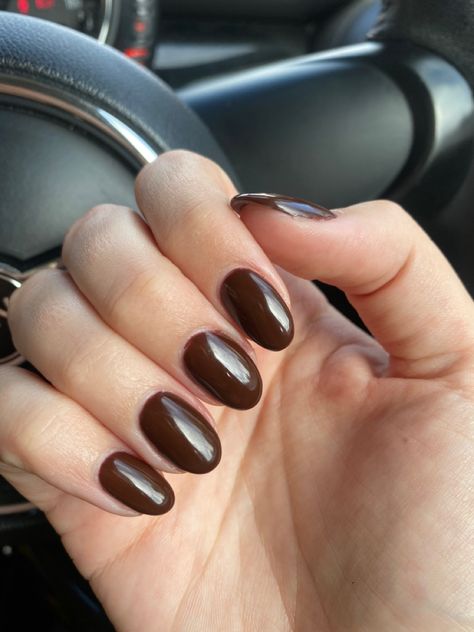 Chocolate Oval Nails, Chocolate Brown Nails Acrylic Almond, Dark Brown Oval Nails, Chocolate Brown Almond Nails, Dark Brown Nails Short, Fall Nails Round Shape, Round Brown Nails, Brown Round Nails, Deep Brown Nails