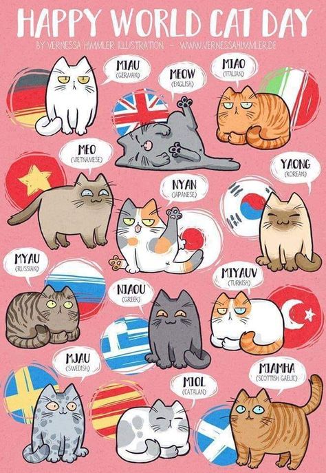 Griffonnages Kawaii, World Cat Day, Koci Humor, International Cat Day, World Cat, Cat Hacks, Cat Comics, Neko Cat, Haiwan Peliharaan