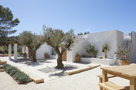 Portugal Albufeira, Mediterranean Garden, Albufeira, Spanish House, Villa Rental, Olive Tree, Paros, Outdoor Design, Luxury Villa