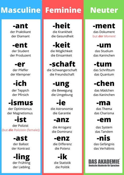 Mastering The German Articles Learning German Worksheets, German Phrases Learning, Deutsch Language, German Resources, Study German, Studera Motivation, German Study, Germany Language, German Phrases