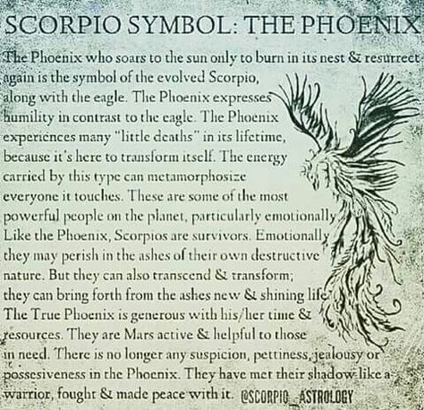 Phoenix Scorpio Phoenix Tattoo, Scorpio To Phoenix Tattoo, Phoenix Meaning Quotes, Phoenix Sayings, Phoenix Rising Scorpio, Phoenix Quotes, Scorpio Symbol, Scorpio Zodiac Tattoos, Scorpio Tattoo