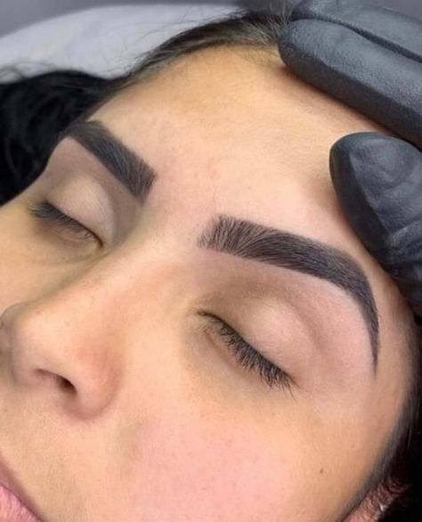 High Arch Eyebrows, Thick Eyebrow Shapes, Mircoblading Eyebrows, Eyebrows Goals, Perfect Eyebrow Shape, Arch Brows, Arched Eyebrows, Nose Contouring, Permanent Makeup Eyebrows