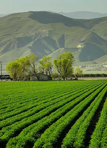 The Central Valley, which grows one third of the nation's food California Illustration, Central Valley California, Space Landscape, San Joaquin Valley, Kern County, 1 Percent, East Of Eden, State Capital, Max Lucado