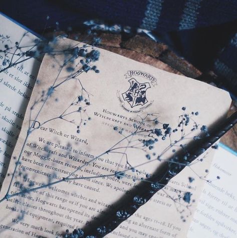 Ravenclaw Room, Blue Academia, Ravenclaw Harry Potter, Ravenclaw Pride, Harry Potter Oc, Ravenclaw Aesthetic, Cho Chang, Ravenclaw House, Harry Potter Ravenclaw