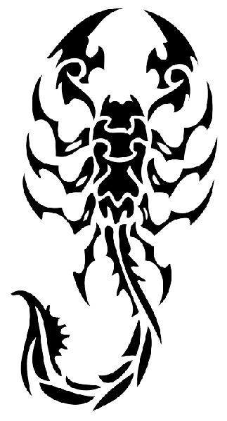 Scorpion Scorpion Tattoo For Men, Wolf Sketch Tattoo, Airbrush Shirts, Scorpio Art, Sanskrit Tattoo, Tattoo Dotwork, Scorpio Tattoo, Scorpion Tattoo, Wolf Tattoo Design