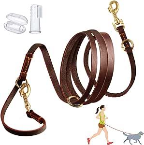 Training leash, leather with gold hardware.  Multiple hook points. Hands Free Dog Leash, Hands Free Leash, Dog Leash Training, Leather Dog Leash, Dog Collars & Leashes, Free Dogs, Medium Dogs, Service Dogs, Dog Accessories