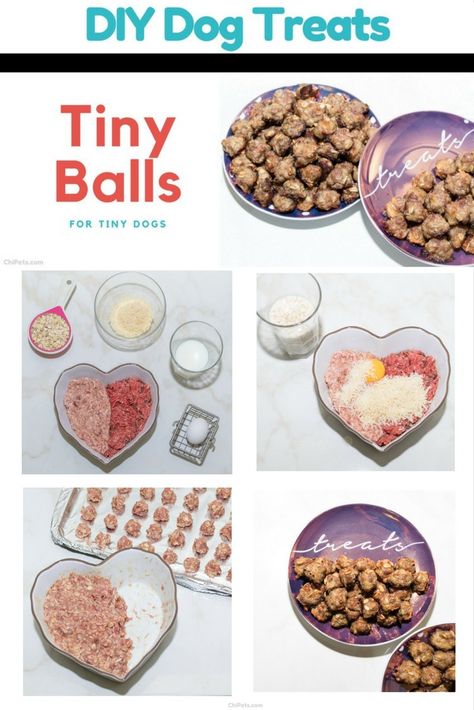 If you're like us, you use a LOT of training treats.  We like to mix it up with higher value foods, such as this recipe for Tiny Balls (aka Meatballs). Dog Training Treats, Meatball Recipe, Diy Dog Treats, Healthy Dog Food Recipes, Training Treats, Tiny Dogs, Dog Treat Recipes, Dog Recipes, Diy Dog