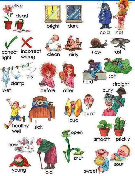 Opposites (or antonyms) are words lying in an inherently incompatible binary relationship, like the opposite pairs big/ small, long/ short, and precede/ follow. Opposite Words For Kids, Dictionary For Kids, English Adjectives, Esl Vocabulary, English Worksheet, Opposite Words, English Vocab, English Resources, English Language Teaching