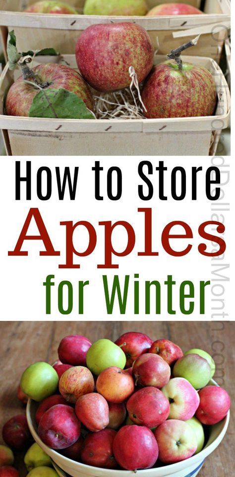 Storing Apples, Preserving Apples, Apple Storage, Food Storage Recipes, How To Store Apples, Apple Picking Season, Freezing Fruit, Freezing Apples, Baby Food Storage