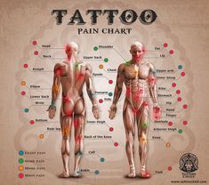 Tattoo Pierna Mujer, Leg Tattoo Placements, Front Thigh Tattoos, Music Skull, Tigh Tattoo, Back Of Leg Tattoos, Pain Chart, Tattoo Pierna, Lower Leg Tattoos