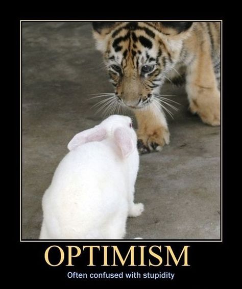 #Demotivational Posters: Optimism Poster Prints Quotes, Demotivational Posters Funny, Demotivational Quotes, Posters Quotes, Motivational Memes, Funny One Liners, Mask Style, Demotivational Posters, Good Morning Funny