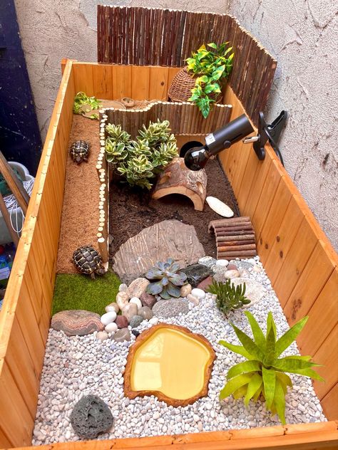 Tortoise Setup Ideas, Inside Tortoise Enclosure, Cute Tortoise Enclosure, Turtle Table Tortoise Habitat, Desert Tortoise Habitat Indoor, Tortoise Home Ideas, Cool Tortoise Enclosure, Turtle Incloser, Tortoise Enclosure Decor