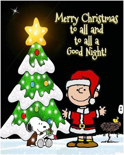 Good Night Pictures, Peanuts Gang Christmas, Brown Christmas Tree, Charlie Brown Christmas Tree, Christmas Card Sayings, Peanuts Charlie Brown Snoopy, Merry Christmas Gif, Merry Christmas Pictures, Brown Christmas