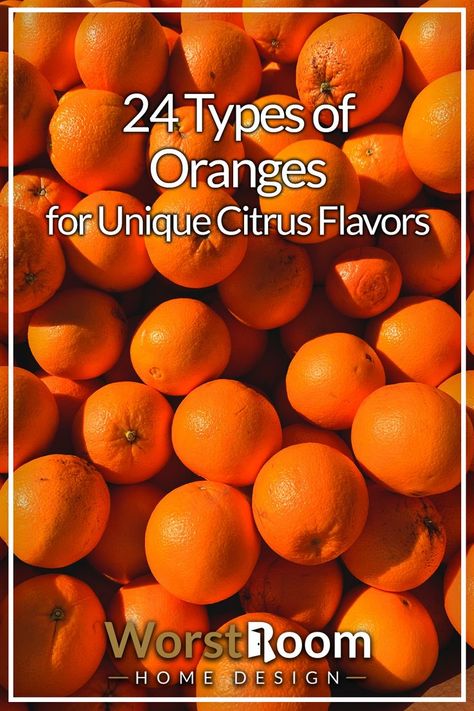 Types of Oranges Halo Oranges, Oranges Fruit, Types Of Oranges, Orchard Tree, Fruit List, Farm Stuff, Oranges And Lemons, Juicy Fruit, Spices And Herbs