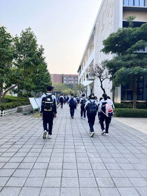 Chinese School Aesthetic Building, Chinese High School Aesthetic, Asian High School Aesthetic, South Korea High School, Chinese Student Aesthetic, Korean Highschool Aesthetic, Korea School Aesthetic, Idol School Dr, Korean School Life