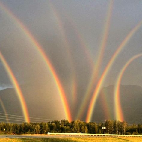 Eight Rainbows! Quite The Phenomenon...Seen In Lehigh Valley, PA. Modele Zentangle, Futurisme Retro, Image Nature, Lehigh Valley, Alam Yang Indah, Beautiful Sky, Natural Phenomena, Maui Hawaii, Science And Nature