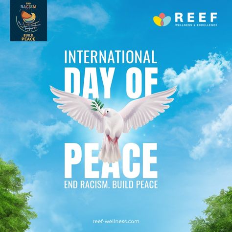 International Day of Piece International Peace Day, World Peace Day, Un General Assembly, Business Psychology, Peace Day, Day Of Peace, Dental Exam, Service Advisor, International Day Of Peace