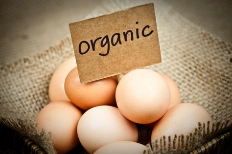 Forks Over Knives | Will Switching to Organic Meat, Dairy and Eggs Save Your Health? Benefits Of Organic Food, Organic Meat, Organic Eggs, Eating Eggs, Organic Chicken, Theme Color, Eat Real Food, Fresh Eggs, Vegetarian Diet