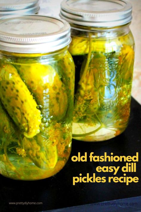 Crispy Dill Pickles, Making Dill Pickles, Farmhouse Recipes, Cucumber Pickles, Homemade Pickles Dill, Kosher Dill Pickles, Preserving Recipes, Dill Pickle Recipe, Dill Pickle Chips