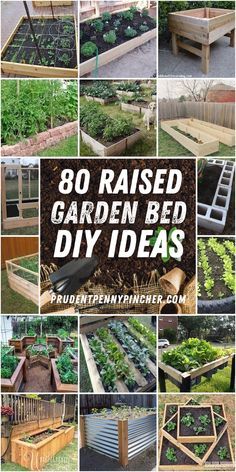 Bed Diy Ideas, Raised Garden Bed Diy, Garden Bed Diy, Cinder Block Garden Bed, Easy Garden Beds, Making Raised Garden Beds, Wood Garden Beds, Garden Bed Layout, Cedar Raised Garden Beds